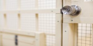 留置所で面会するには？基本ルールから差し入れ方法までわかりやすく解説